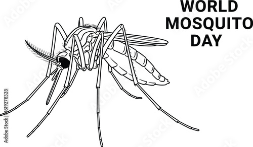 Detailed line art illustration of a mosquito for world mosquito day, highlighting the importance of disease prevention