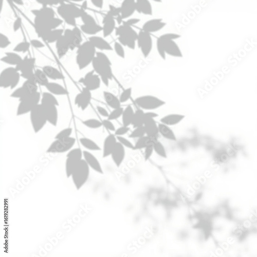 shadow overlay effect. Gray shadow of leaves isolated on white background. Plant foliage leaf shadow light effect. 
Mockup Blurred tree branch shadow. Ideal for summer spring design elements PNG

