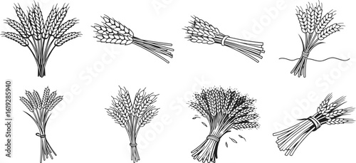A collection of detailed black and white illustrations of wheat stalks and sheaves tied with string