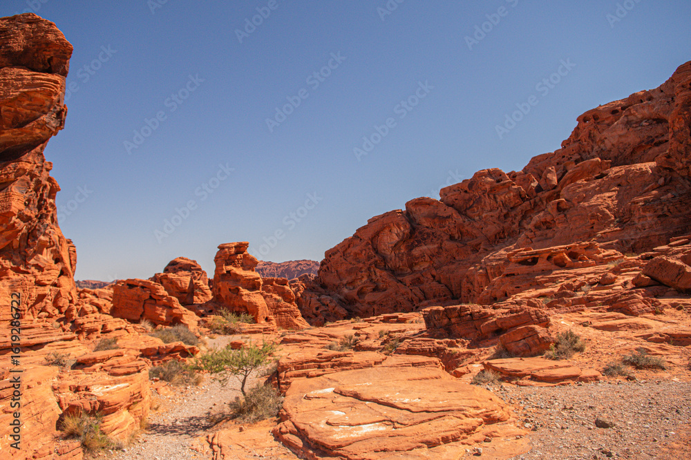 Fototapeta premium Mojave Desert Valley Of Fire