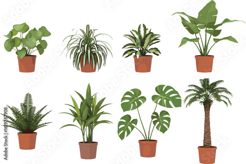 Collection of indoor potted plants for home and office decor, cad drawing flat vector illustration, greenery, botanical, lifestyle, relaxation