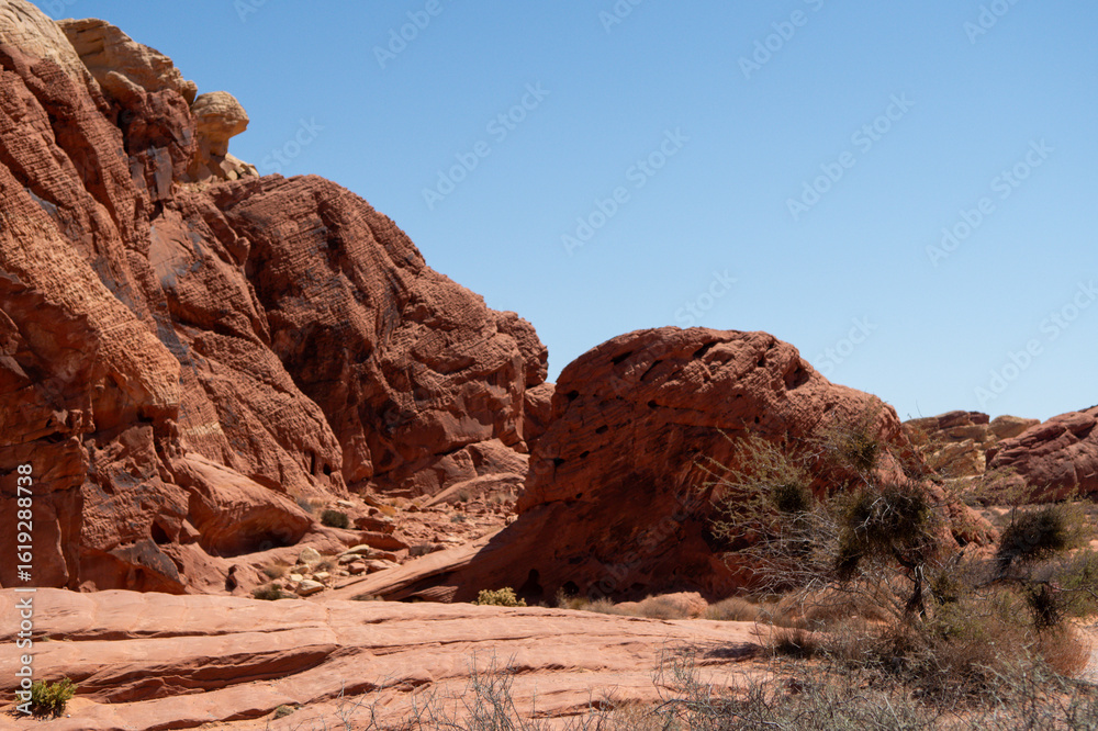 Fototapeta premium Mojave Desert Valley Of Fire