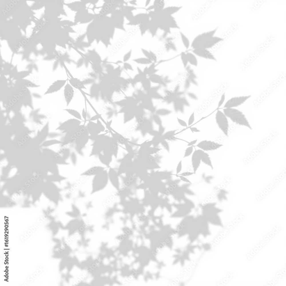 Fototapeta premium shadow overlay effect. Gray shadow of leaves isolated on white background. Plant foliage leaf shadow light effect. Mockup Blurred tree branch shadow. Ideal for summer spring design elements PNG