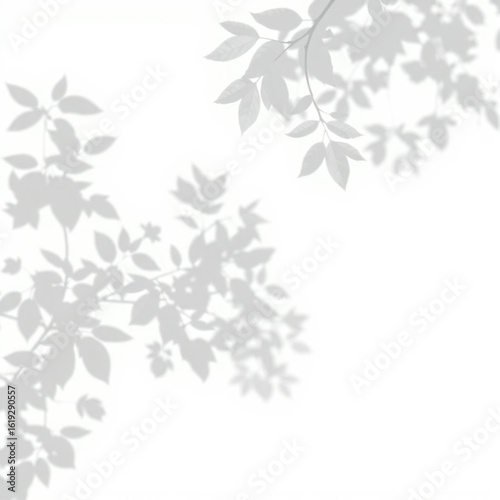 shadow overlay effect. Gray shadow of leaves isolated on white background. 
Plant foliage leaf shadow light effect. Mockup Blurred tree branch shadow. Ideal for summer spring design elements PNG