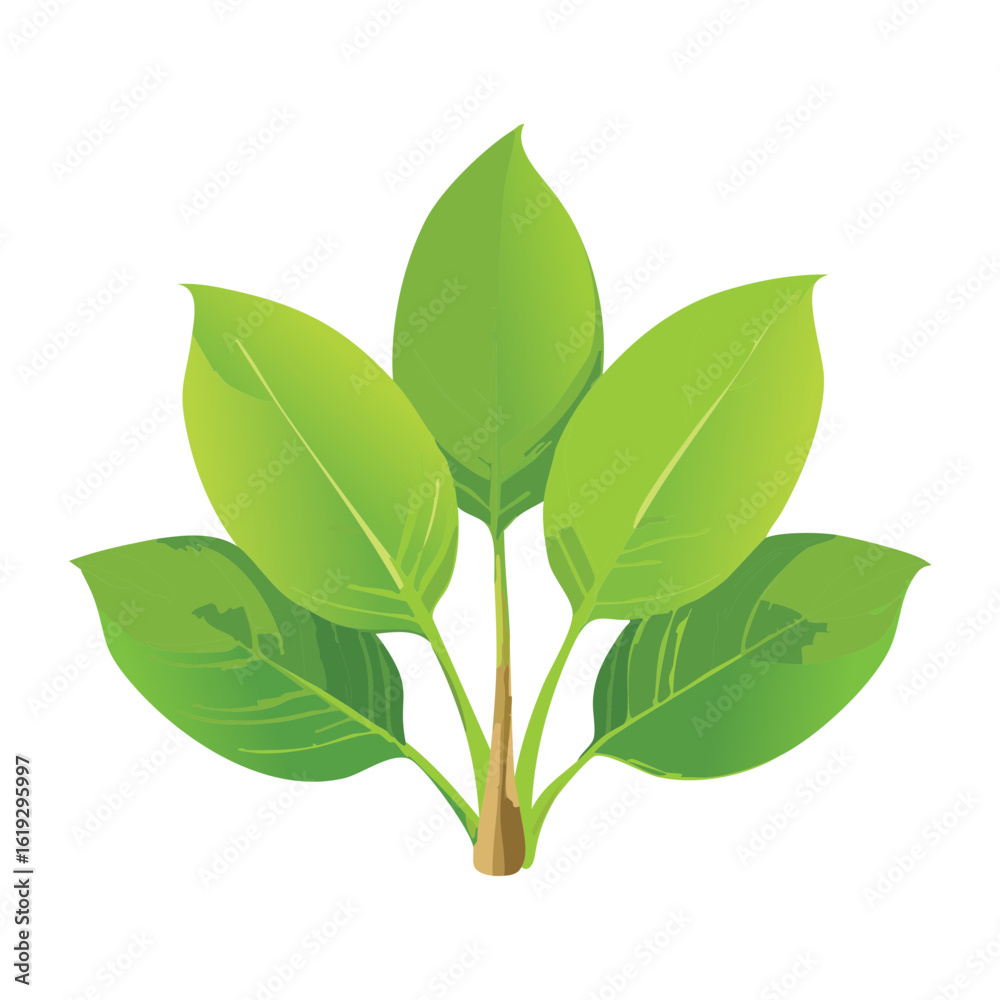 Obraz premium Natural Botanical Foliage Organic Style