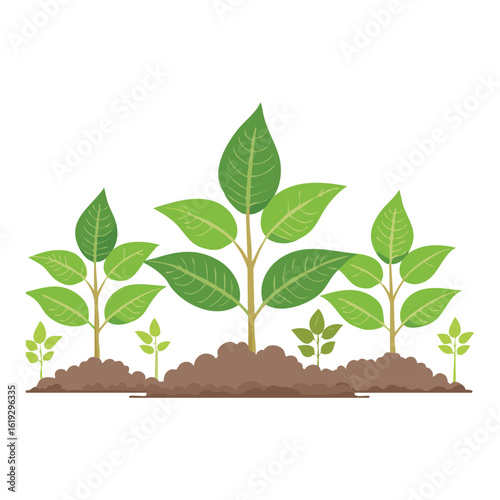 Simple Green Plant Row Illustration