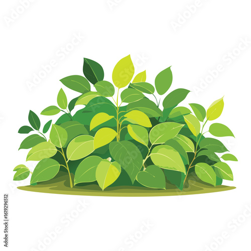 Rounded Green Garden Bush Illustration