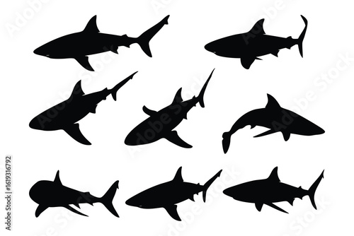 Shark silhouette collection, set of shark silhouette vector illustration