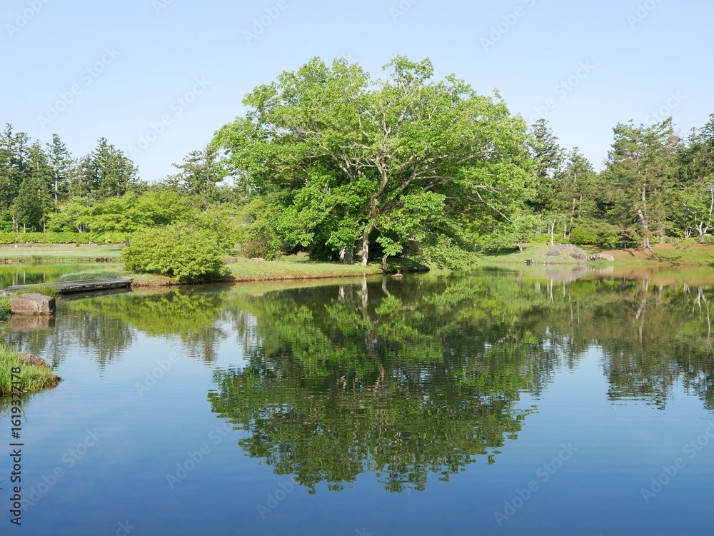 Fototapeta premium Tranquil Japanese Garden with Green Trees Reflected in a Pond on a Spring Morning, Iwate, Japan