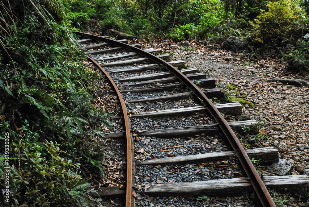 Fototapeta premium 屋久島の森林鉄道の線路