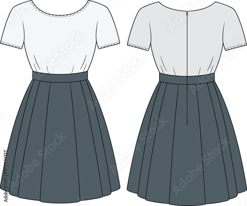 Fashion illustration of a young woman's stylish, elegant, and modern two-tone dress with short sleeves, a cinched waist, and a pleated skirt, perfect for a casual summer day or a special event.