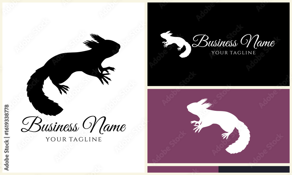 Obraz premium Squirrel Logo Design Templates. (2)