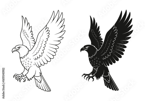 Vector art of eagle flying with spread wings, isolated on white background