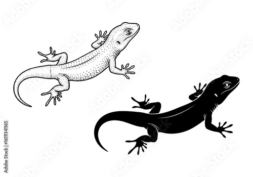 Vector art of lizard illustration in outline and silhouette isolated on white background