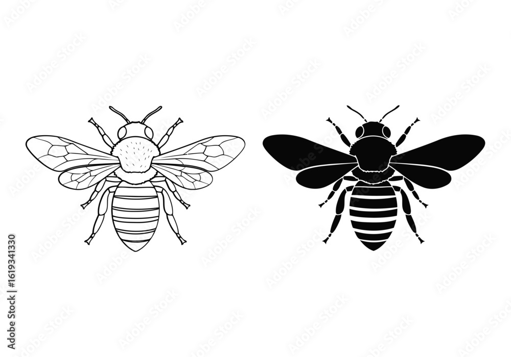 Obraz premium Vector art of two bees, one outline and one silhouette, isolated on white background