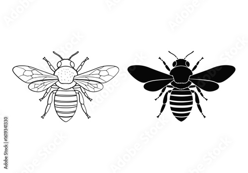 Vector art of two bees, one outline and one silhouette, isolated on white background