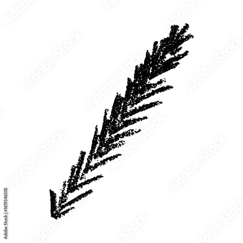 Hand drawn spruce branch clipart. Twig of coniferous tree doodle. Christmas and winter design element
