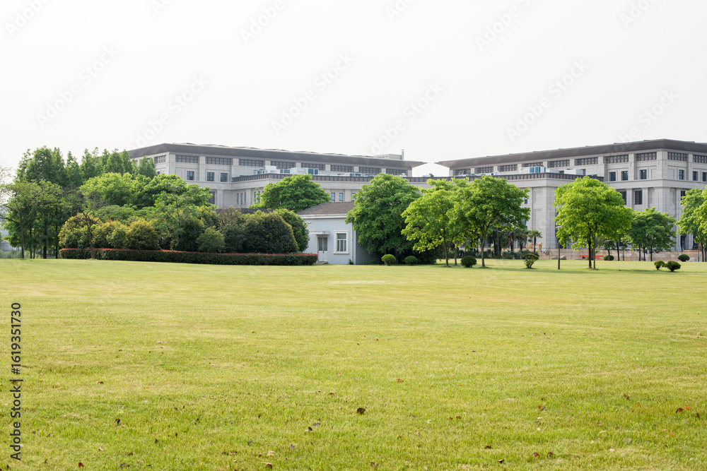 Fototapeta premium Extensive Natural Green Lawn Landscape With Lush Grass Field Photography
