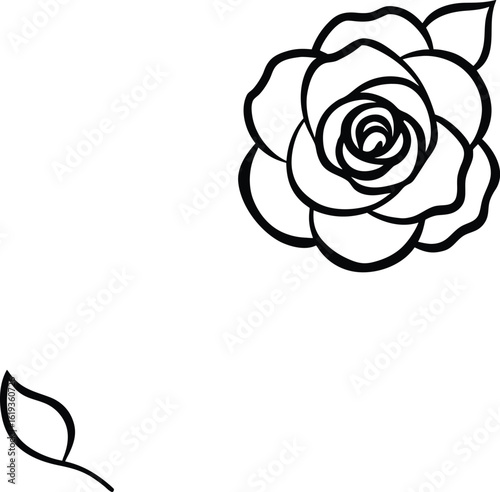  hand drawn line art rose corner