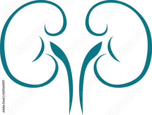 kidney logo vector