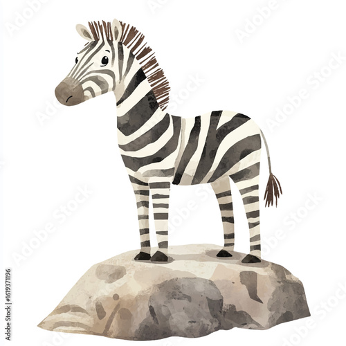 a cute animal of zebra standing on a rock