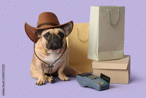 Cute French bulldog with co...