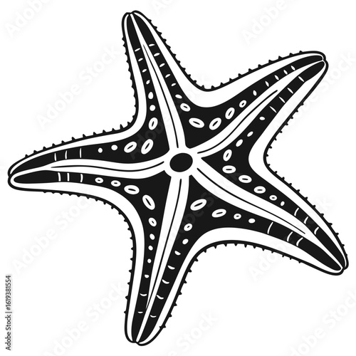 A stylized black and white graphic illustration of a five-armed starfish with decorative patterns.