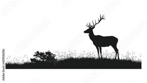 Silhouette of deer with antlers standing in grass

