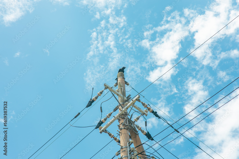 Fototapeta premium electrical wires and blue skies