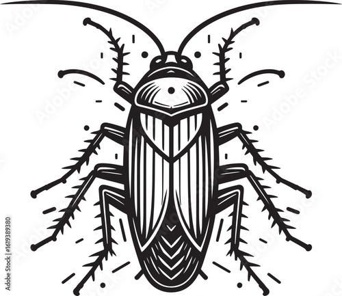 Cockroach, black and white vector illustration on white background
