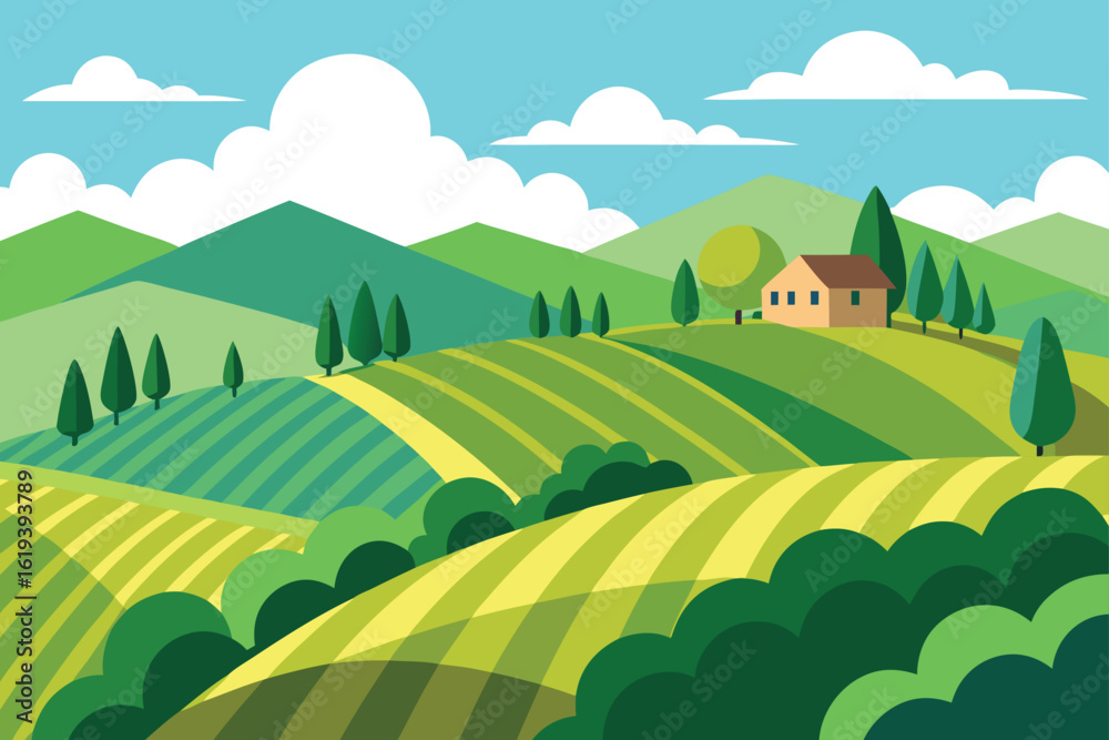 Fototapeta premium Summer vineyard on rolling green hills