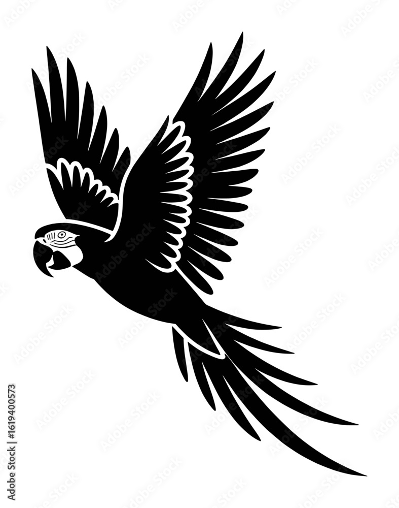 Fototapeta premium Black parrot flying with wings spread wide bird