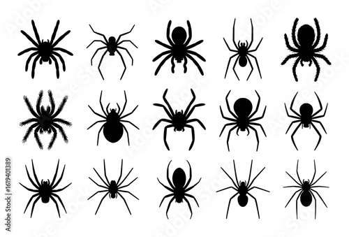 Black spider silhouettes collection for Halloween design arachnid insect