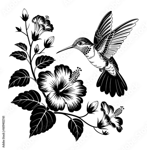 Hummingbird hovering near hibiscus flowers bloom leaf