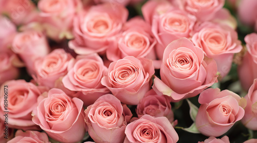 Rosas rosa pastel em um lindo buquê floral para uma celebração romântica