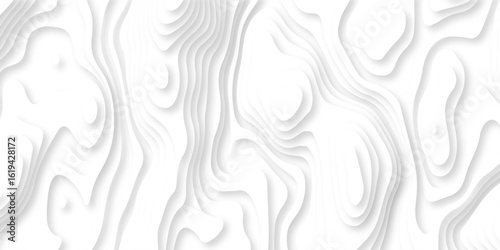 Abstract white paper cut background with lines. Background of the topographic map. White wave paper curved reliefs abstract background. Realistic papercut decoration textured with wavy layers.
