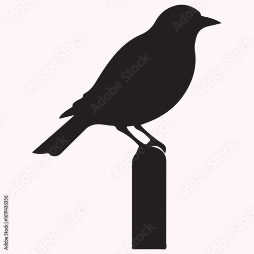Birdcage Silhouette Icon