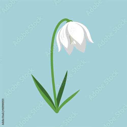 White flower with green stem and leaves against light blue background