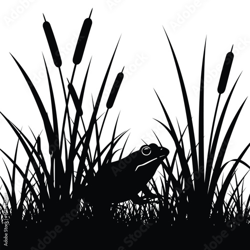 Black frog among reeds amphibian cattails