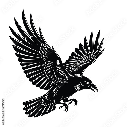 Black raven in flight with spread wings crow bird