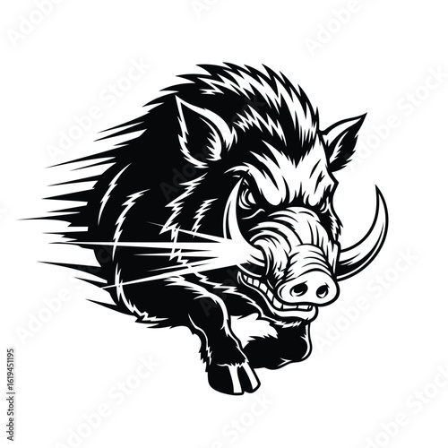 Aggressive wild boar charging forward tusks black and white