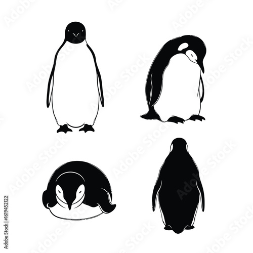 Black and white penguin illustrations standing sitting