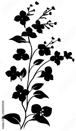Silhouette of forget me not flower corner border