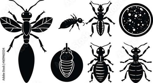 set of insects silhouettes
