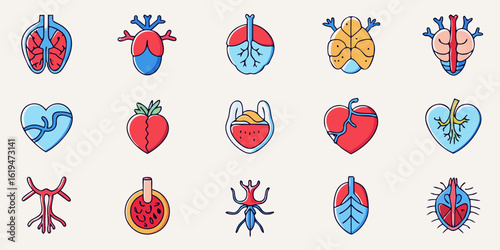 Stylized human organs and biological icons