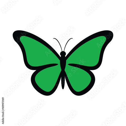 Green Butterfly with Vector illustration of Black Outline on White Background insect lepidoptera