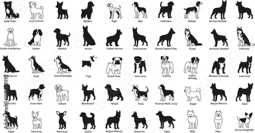 Vector set of different dog breeds, cute cartoon puppy collection, pet icons, silhouette and outline dogs, domestic animal illustration