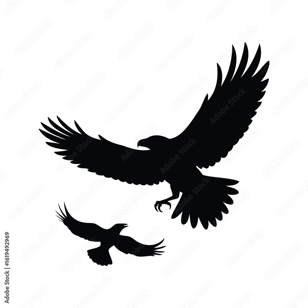 Two eagles flying together, silhouetted against a white background, majestic birds Two eagles flying together, silhouetted against a white background, majestic birds