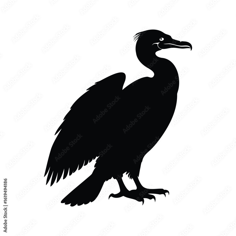 Obraz premium Silhouette of a Cormorant Standing Tall Against a White Background