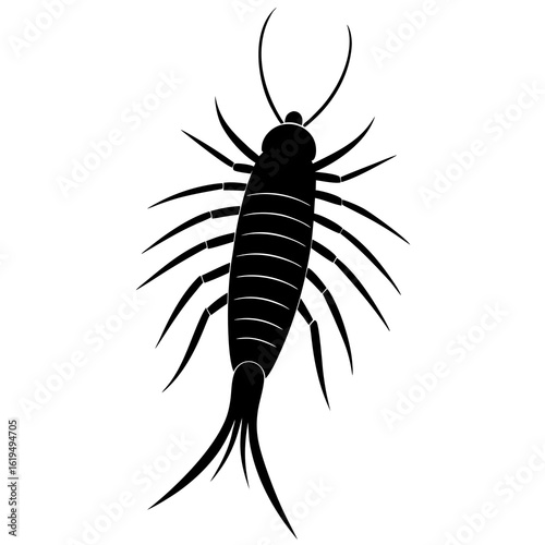 black silhouette of a spider